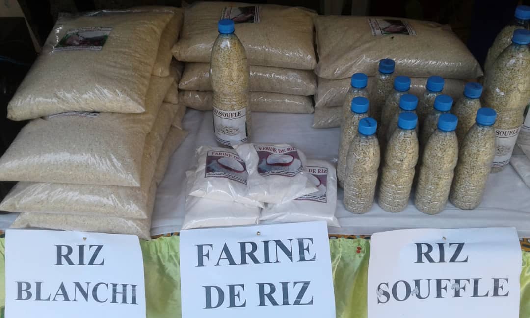 Agriculture : RIZ DE TONGA ‘’La culture du riz de Tonga n’a plus de secret pour moi’’