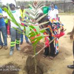 ENVIRONNEMENT : Nestlé Cameroun plante 200 arbres à Douala 4è