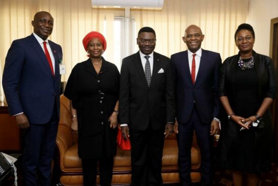 SOCIÉTÉ : TONY ELUMELU, PCA DU GROUPE UBA, REÇU EN AUDIENCE À LA PRÉSIDENCE DE LA RÉPUBLIQUE DU CAMEROUN