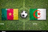 Choc Cameroun Vs Algérie: Les Fennecs réussiront-ils à battre les lions indomptables ?